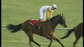 2004 Maker's 46 Mile &ndash; Perfect Soul (IRE)