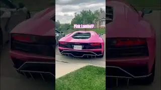 Pink Lamborghini Aventador Cold Start🏎️💨 Would you drive this?! #Lamborghini #Lambo