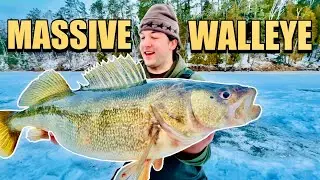 GIANT WALLEYE FISHING IN DULUTH MN | NEW PB!?