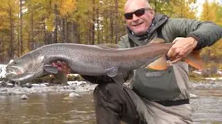 2024 September trip Taimen Lodge Mongolia
