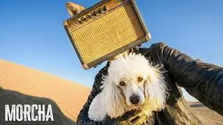 Psychedelic Desert Rock | Downtempo Trip-Hop Grooves