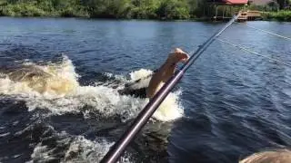 Barefoot waterski - back deep, back to front, front to back, reverse back to front