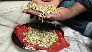 Proten & vitamin food 