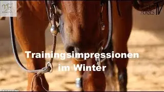 WHTV: Trainingsimpressionen mit Lars Nebel