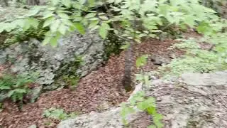 Reggie's Realm&trade;: A Pegmatite Mine in Connecticut!