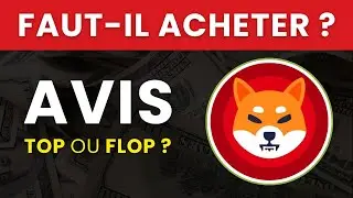 SHIBA INU (SHIB) : Faut-il Acheter cette Crypto ? Est-ce une Arnaque ? | Analyse & Avis en 2025