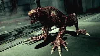 RESIDENT EVIL 5 - #15: Perereca Virada do Avesso