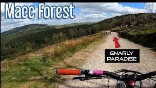 Macc Forest Downhill sesh🤘 With Tasty Tech Addict's MTB 💯 This stuff is crazy