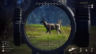 (Nice 5 Star Sitka Deer!) Way of the Hunter