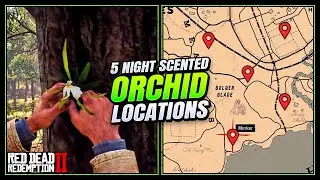 RDR2: Night Scented Orchid Locations - FAST & EASY Guide (Duchesses & Other Animals Guide)