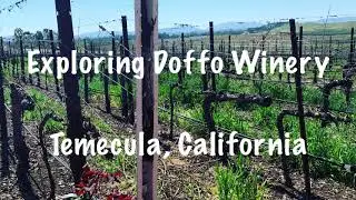 From Argentina to Temecula, Doffo Winery produce is world class wines.
