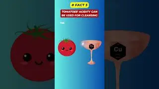 5 Amazing Facts on Tomatoes | YOU DIDN'T KNOW 🍅 | #shorts #tomato #facts