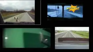 YTTrucking . com Contest Entry