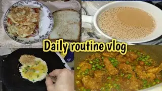 My daily Routine vlog dekh k btain kesa laga AP ko | Life with Minaal