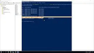 Using PowerShell - Get OS of Computers in domain