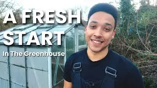 Clearing Out the Greenhouse | Allotment Day 3
