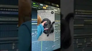 I made a Hip Hop beat from Dog Howl #Shorts