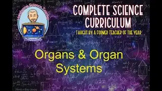 Organs & Organ Systems