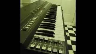 elkatwin 61