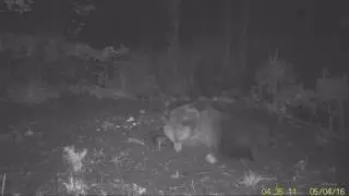 Welltar 7310 850nm - Vide&aacute;