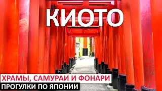 ЯПОНИЯ: КИОТО ЗА 24 ЧАСА: УТРО В ХРАМЕ ФУСИМИ ИНАРИ И ВЕЧЕР В ОГНЯХ ФОНАРЕЙ #япония #киото #храм