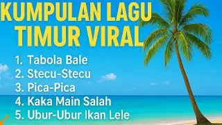 Kumpulan Lagu Timur Viral Terbaru 2025#lagutimur