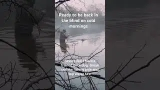 #duck #hunting #retriever #fishing #coldweather #winter #duckseason