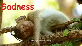 Million Sadness Pity Poor Baby Dustin Feel Very Lonely Miss Mom. Thanks Nanda And Piper  Keep Help.