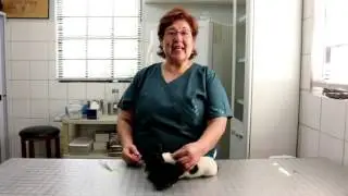 Dierenarts Rossy Zoetrum dunando algun bon konseho