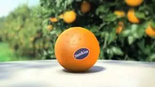 Janimation | Sunkist Orchards Television Spot