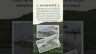 कोलरू झील आंध्र प्रदेश || Kolleru Lake || facts in hindi