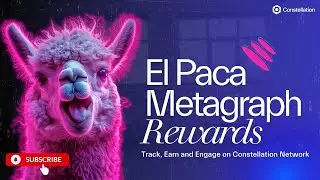 El Paca Metagraph Rewards | Track, Earn, and Engage on Constellation Network