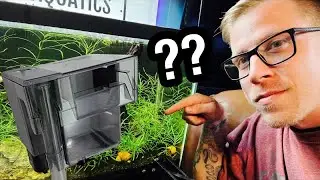 Аквариумный фильтр шумит? Помогите.