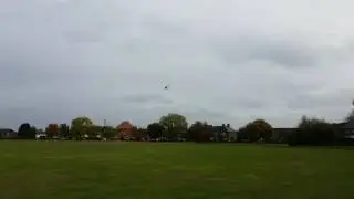 John Nobbs smacking his bitch up!