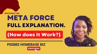 META FORCE FULL EXPLANATION (Everything You Need to Know about Meta Force)