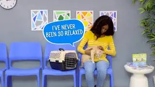 Pet Naturals of Vermont Cat Supplements | Chewy