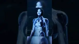 343 May Have Doomed Halo...