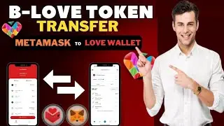 How To Transfer BLV Token To Metamash And Metamash To BLV - MK MultiTech