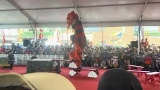 AUSTRALIA&rsquo;S FIRST NATIONAL LION DANCE COMPETITION - CHINESE MASONIC SOCIETY 