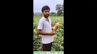 { TELUGU } Our Online Broad Beans Farmer Shares His Experience!