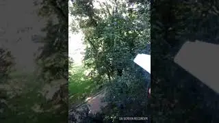 Телеграмм ))))