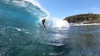 Reptillian Rebellion || Old Woman Island Slab