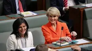 Scott Morrison's bright, new look backbench