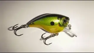 BIG Michigan fish & Rapala BX Brat