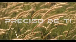 PRECISO DE TI | MEDITAÇÃO REFLEXÃO | ADORAÇÃO