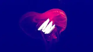 FVHM feat. Powerdress - Passionate