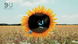 New Day Will Rise - Yuval Raphael - Eurovision 2025 Israel - ai infinite zoom