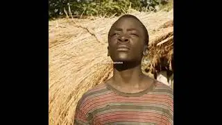 The Boy Who Harnessed The Wind #inspiration