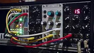 Modular ambient melodies with Intellijel Scales