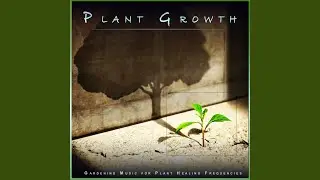 Plant Music